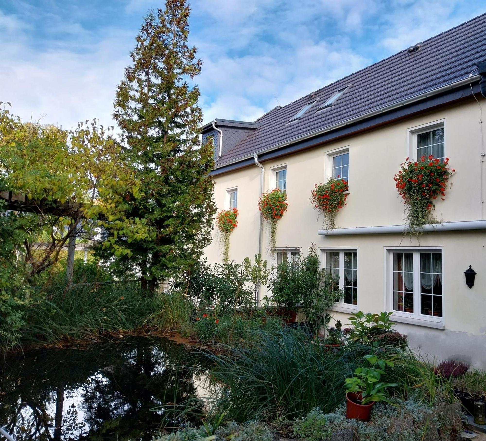 Ferienwohnung - Landhotel Waldschloesschen Sohland an der Spree Eksteriør billede