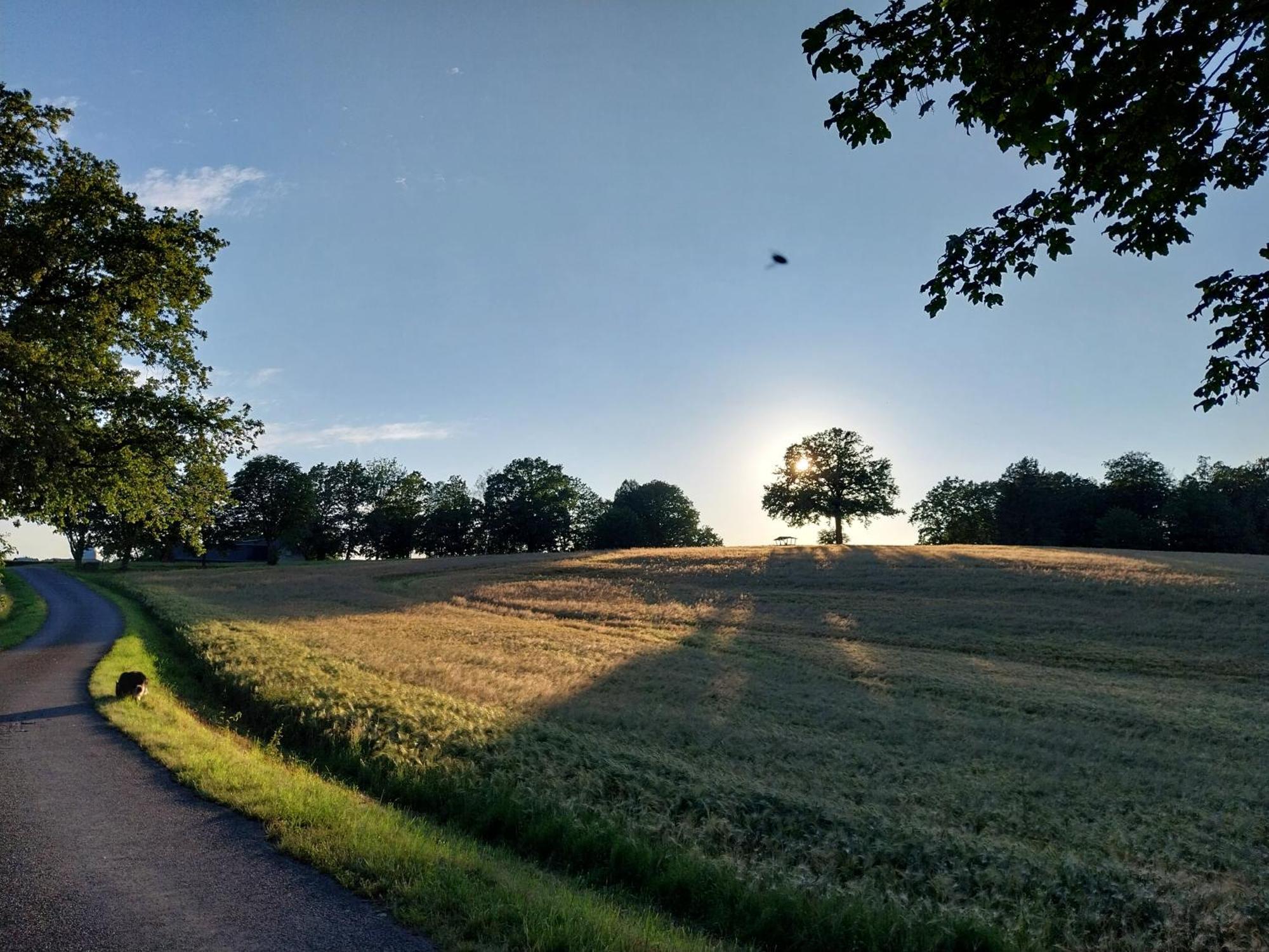 Ferienwohnung - Landhotel Waldschloesschen Sohland an der Spree Eksteriør billede